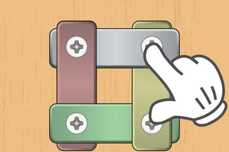 Nuts And Bolts Screw Puzzle